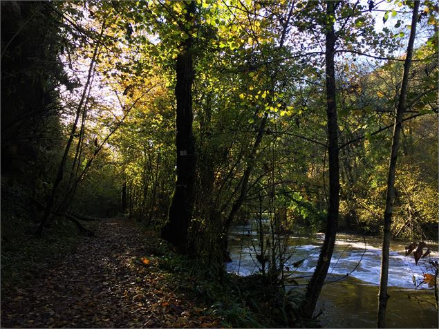 Rivière du Gland - © Maxime Ballet