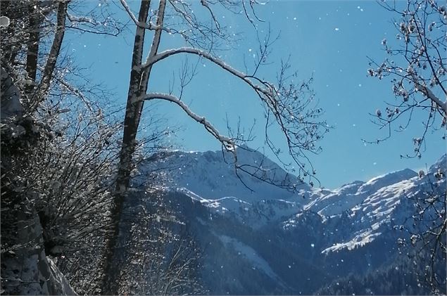 sur la route du Bersend - Chambet_Laurence