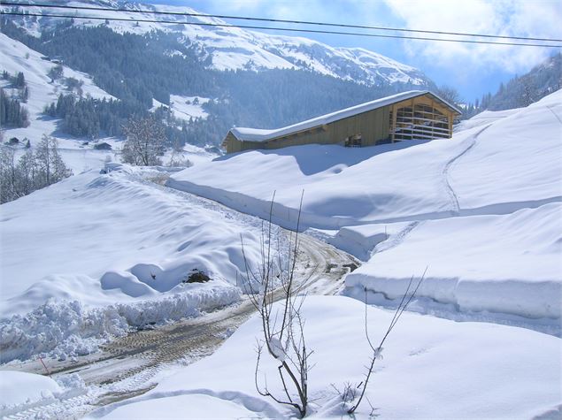 Gaec du Cuvy en hiver - Bernaert_Baptiste