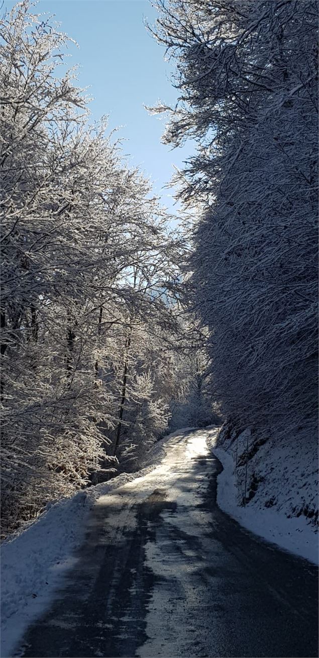 Route du Mont depuis Beaufort - Bruyere_Freddy