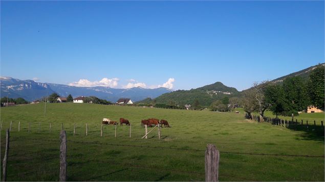 vue sur les Bauges - D Gourbin - Chambéry métropole