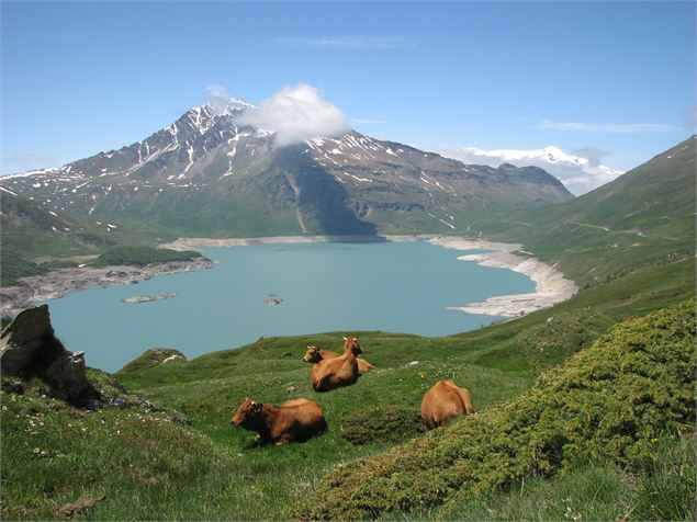 Le lac du Mont-Cenis - X.Spertini