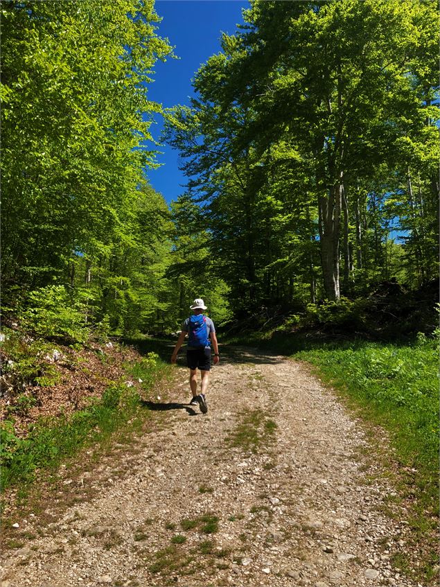 Randonneur sur le circuit de la Ronde des Plans aux Plans d'Hotonnes - Shutterstock