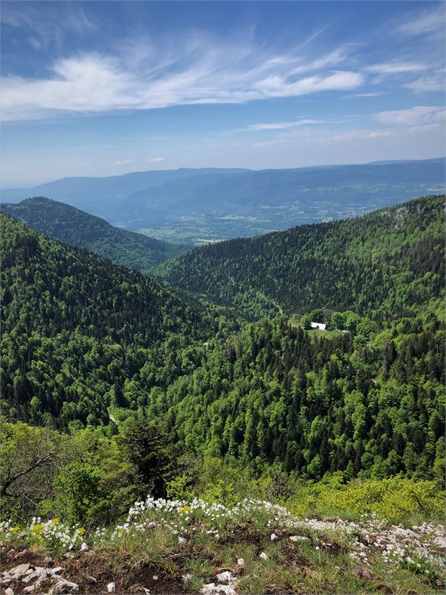 Crêtes de Sur Lyand - vue sur le Chalet d'Arvières et le Valromey - Maxime Ballet