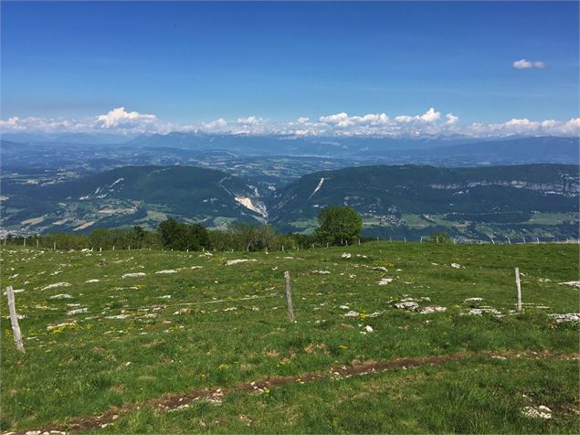 Panorama sur le Val de Fier et les Alpes - Maxime Ballet