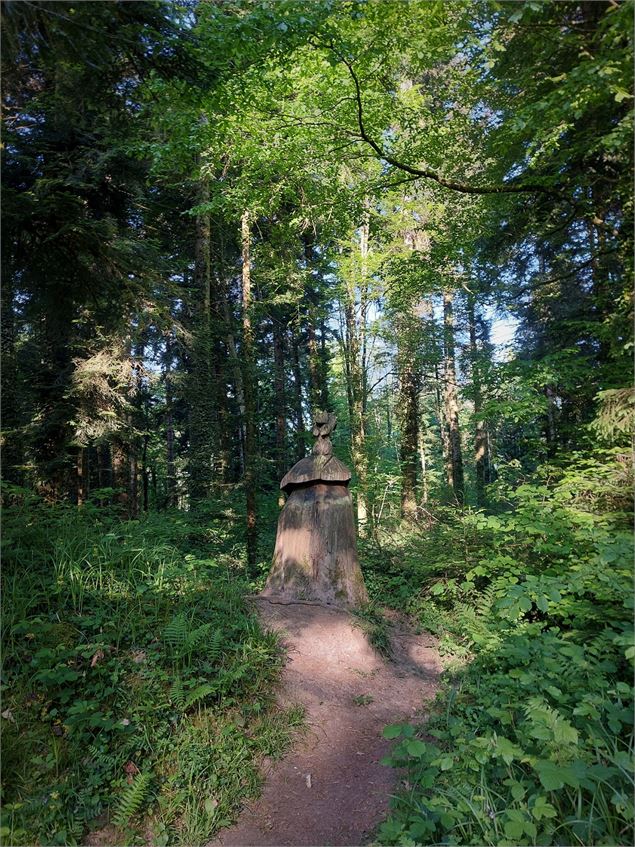 Forêt de Rothonne à Belley - Maxime Ballet