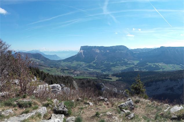 Vue depuis la Pointe de la Cochette - E. Janin