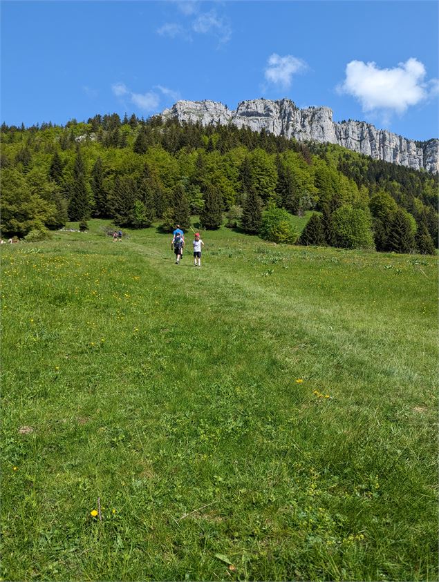 Montée à la Cochette - E. Janin