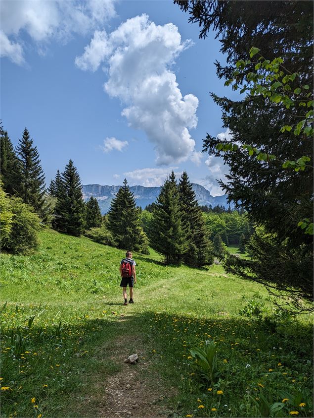 Le chemin - E. Janin