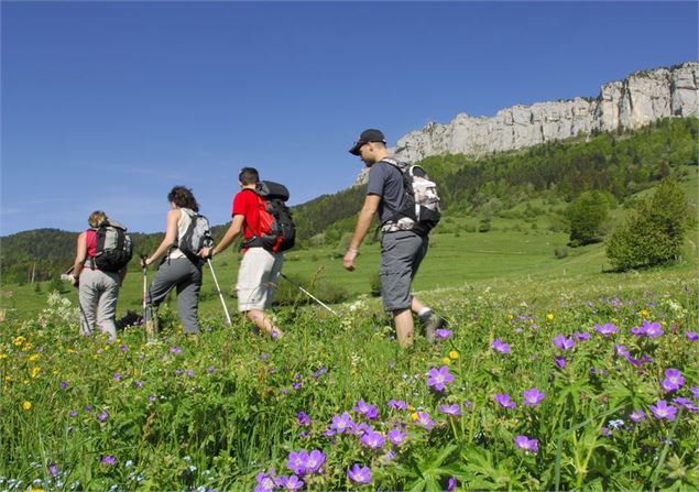 Balade à l'Outheran - Savoie Mont Blanc - Lansard