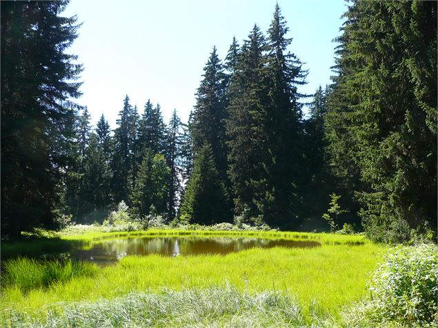 Boucle pédestre : Plateau de Loëx