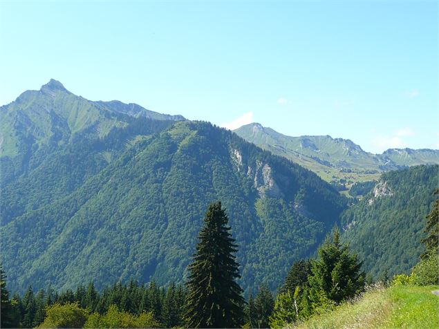 Boucle pédestre : Plateau de Loëx