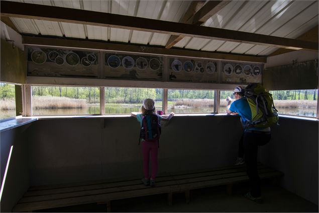 Observatoire ornithologique des Etangs de Crosagny - SavoieMontBlanc-Bijasson