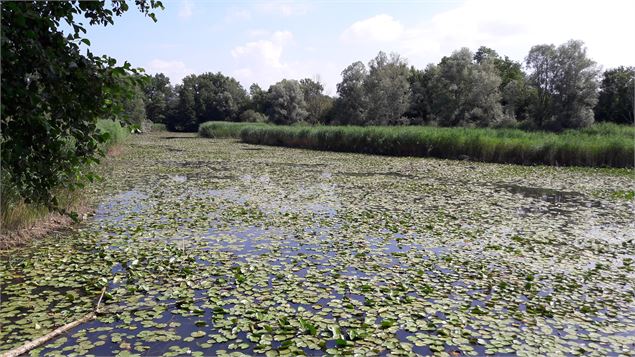 Etangs de Crosagny - SavoieMontBlanc-Bijasson