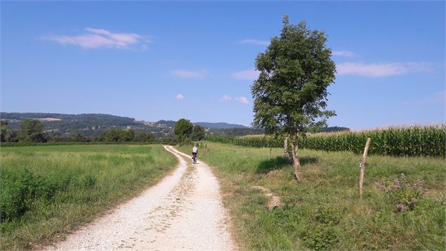 Boucle des étangs de Crosagny - SavoieMontBlanc-Bijasson