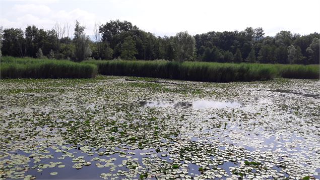 Etangs de Crosagny - SavoieMontBlanc-Bijasson