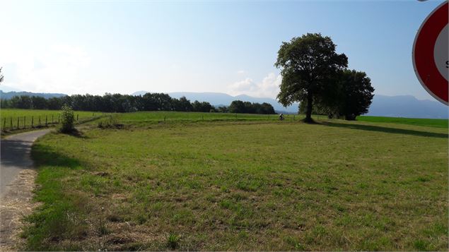 Boucle des étangs de Crosagny - SavoieMontBlanc-Bijasson