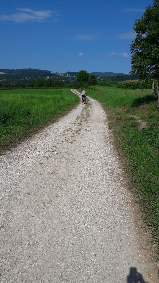 Boucle des étangs de Crosagny - SavoieMontBlanc-Bijasson