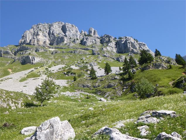 Lac de Lessy 8 - T.Vattard - Le Grand-Bornand tourisme