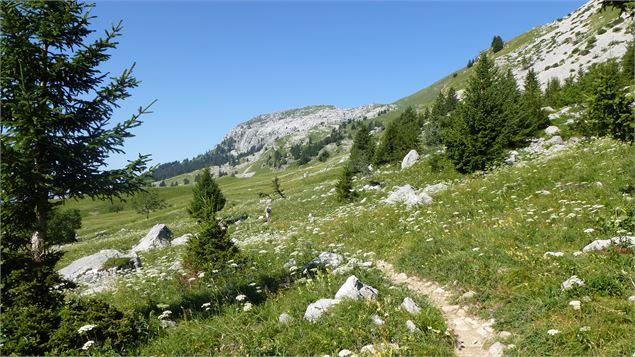 Lac de Lessy 6 - T.Vattard - Le Grand-Bornand tourisme