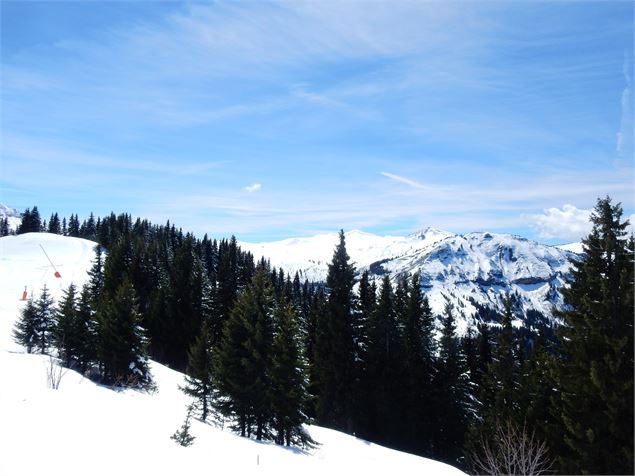 vue du sentier - david_machet