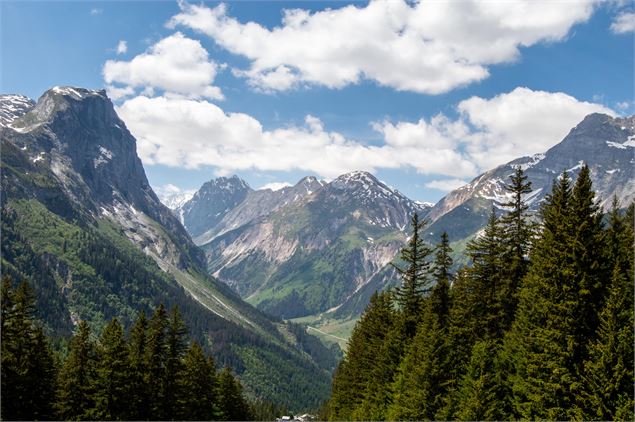 Vue sur les montagnes, de la forêt de la Glière - Marina Kokkelink