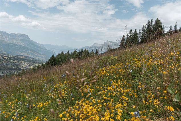 Vue en montée - Mairie_de_Megève