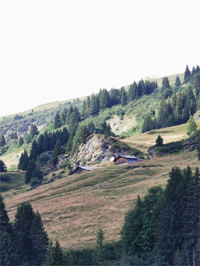 Chemin Lady les grangess - mairie_de_megeve