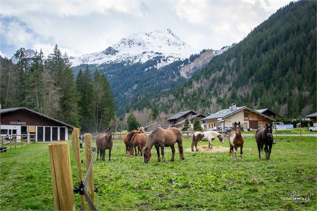 Centre équestre les Contamines - Les Contamines Tourisme