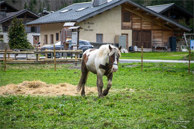 Centre équestre les Contamines - Les Contamines Tourisme