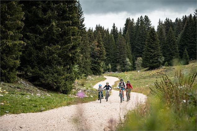 Pistes VTT/VTC - Circuits roulants - Timothée Nalet