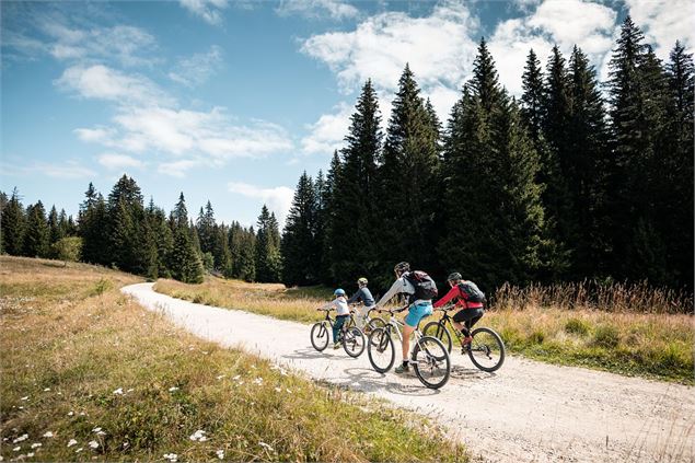 Pistes VTT/VTC - Circuits roulants - Timothée Nalet