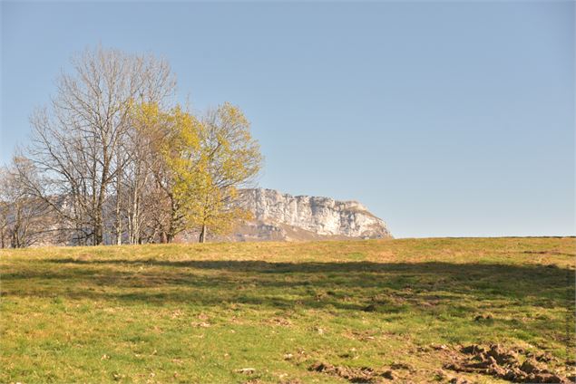 départ des pistes - école de VTT La Féclaz - Massif des Bauges