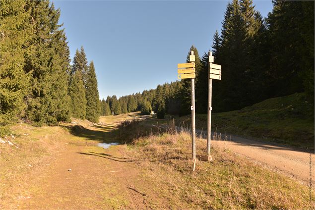 prendre à gauche - école de VTT La Féclaz - Massif des Bauges