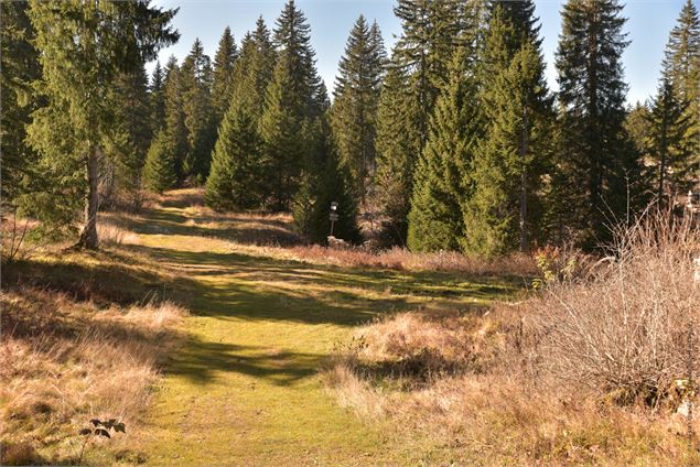 prendre à droite - école de VTT La Féclaz - Massif des Bauges