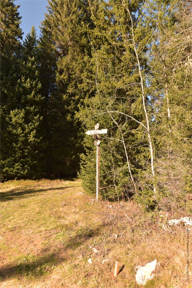 Piste bleue La cavale - école de VTT La Féclaz - Massif des Bauges