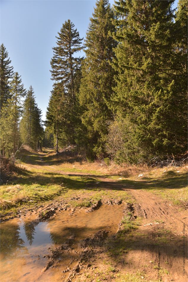 Piste bleue La cavale - école de VTT La Féclaz - Massif des Bauges