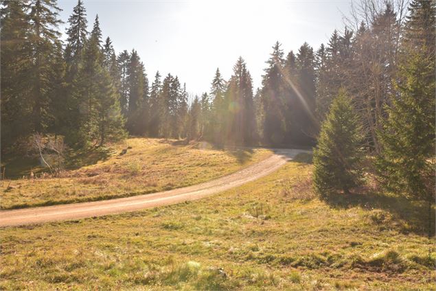 Piste bleue La cavale - école de VTT La Féclaz - Massif des Bauges