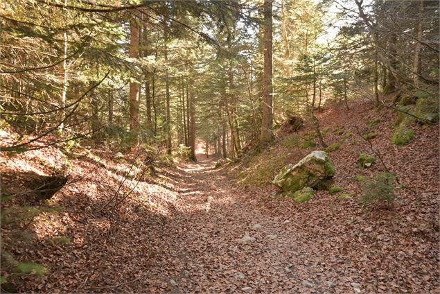 dernier single - école de VTT La Féclaz - Massif des Bauges