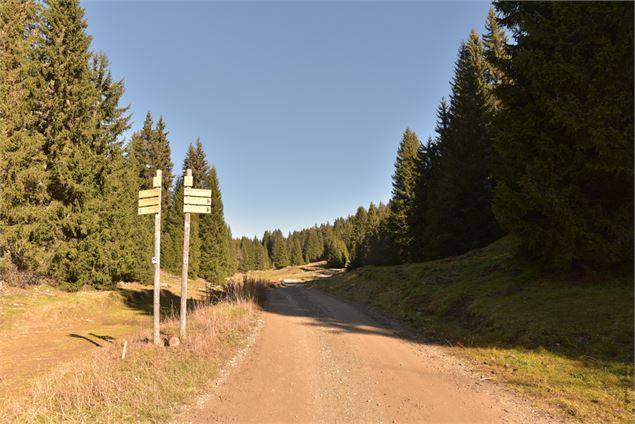 prendre à droite - école de VTT La Féclaz - Massif des Bauges