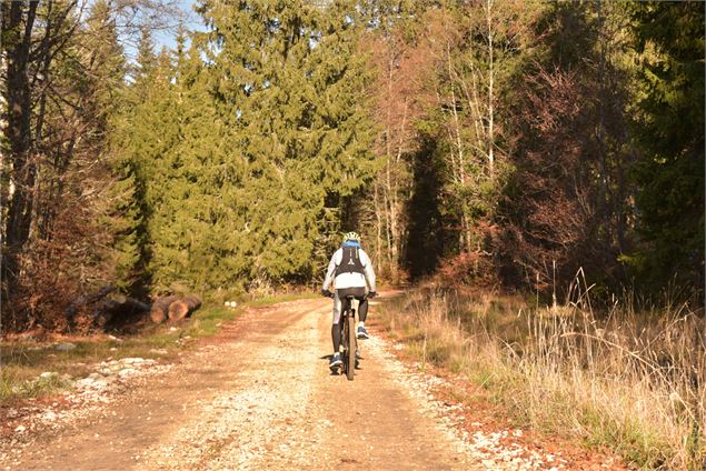 portion roulante - école de VTT La Féclaz - Massif des Bauges