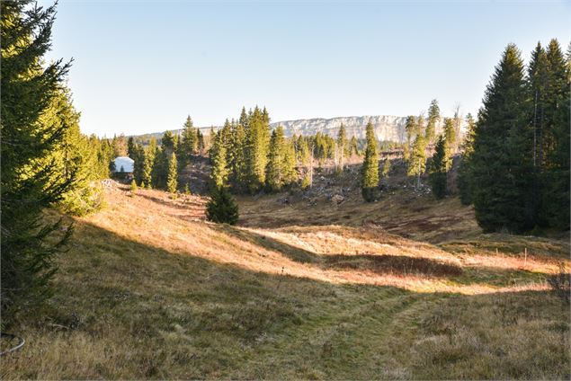 vue sur le Margériaz et petit chalet - école de VTT La Féclaz - Massif des Bauges