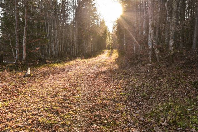 après la montée - école de VTT La Féclaz - Massif des Bauges