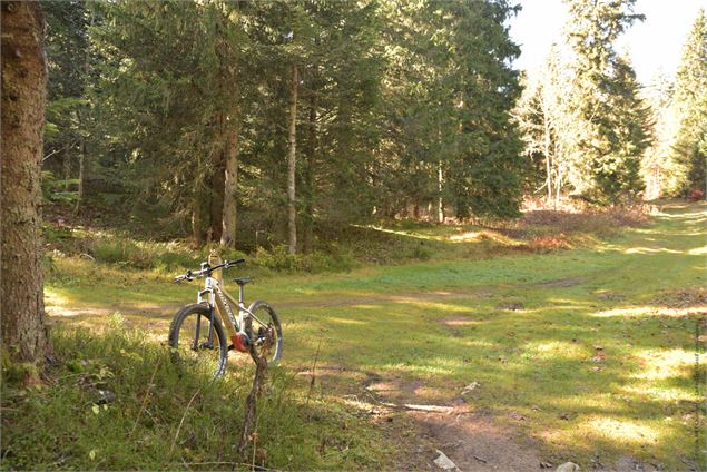 sentier herbeux - école de VTT La Féclaz - Massif des Bauges