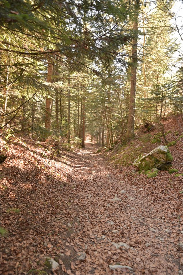 dernier single - école de VTT La Féclaz - Massif des Bauges