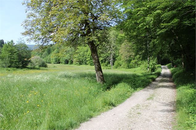 Boucle cascade du Pissieu