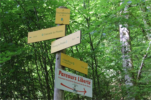 Boucle VTT de Lescheraines - Cascade du Pissieu