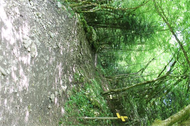 Boucle VTT de Lescheraines - Cascade du Pissieu