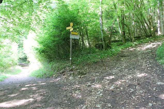 Boucle VTT de Lescheraines - Cascade du Pissieu