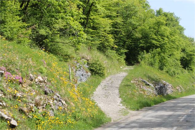 Boucle VTT de Lescheraines - Cascade du Pissieu